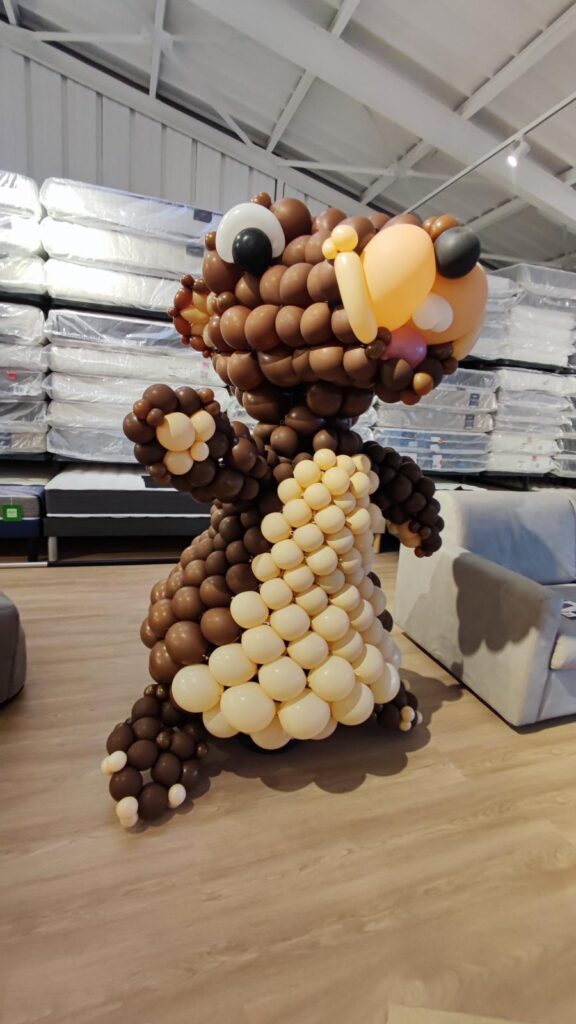 Marmottes ballons
